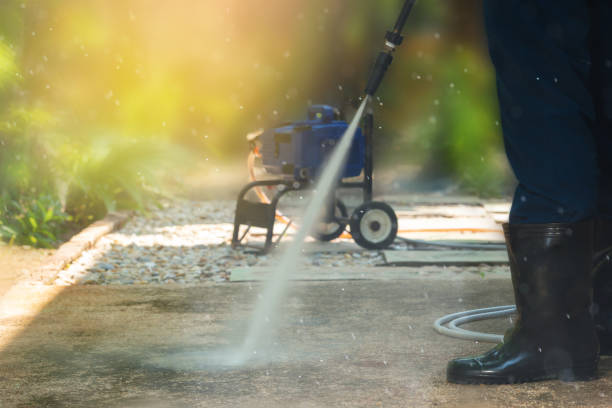 Best Roof Washing  in Stanton, MI